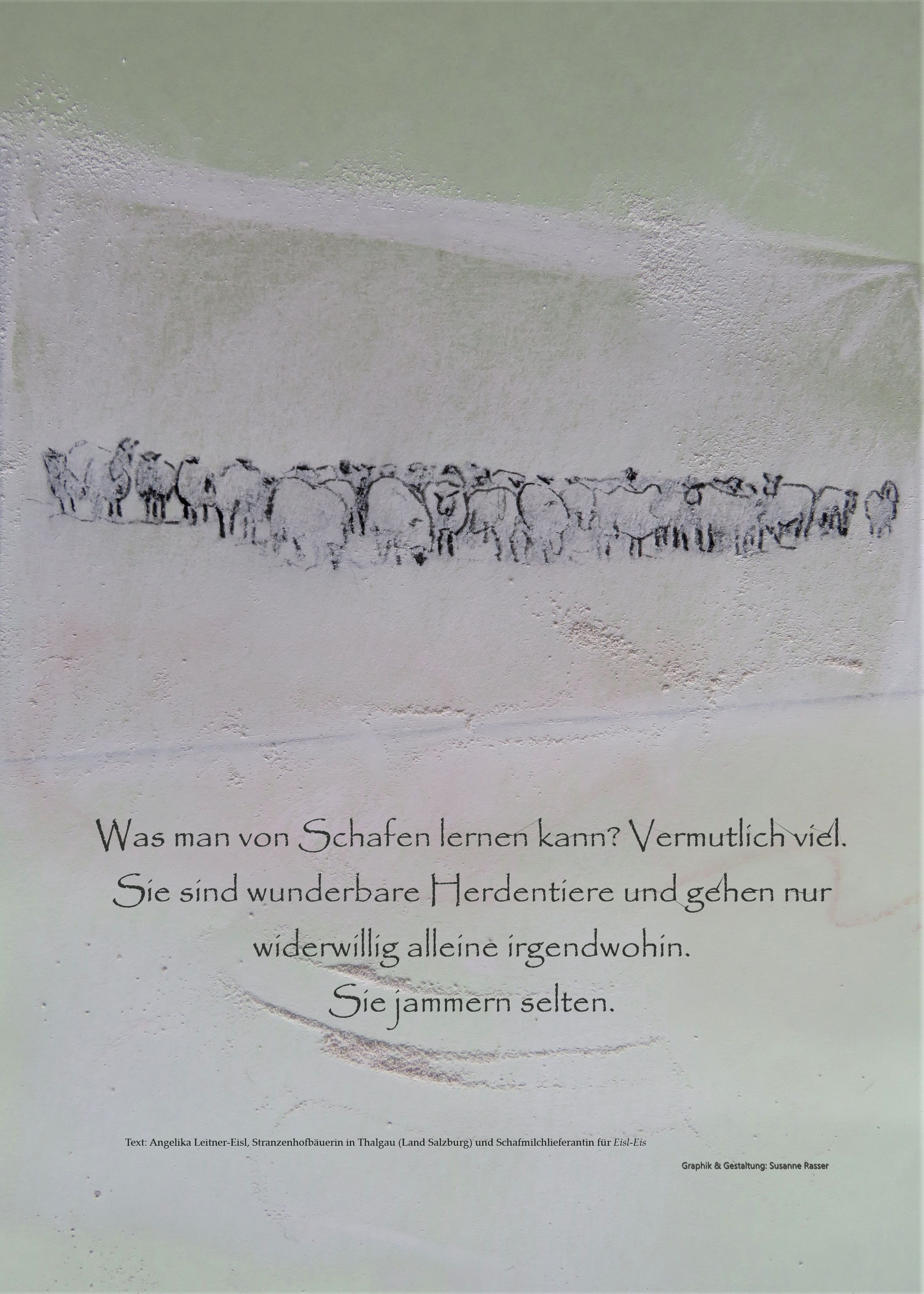 Schaf Ausstellung